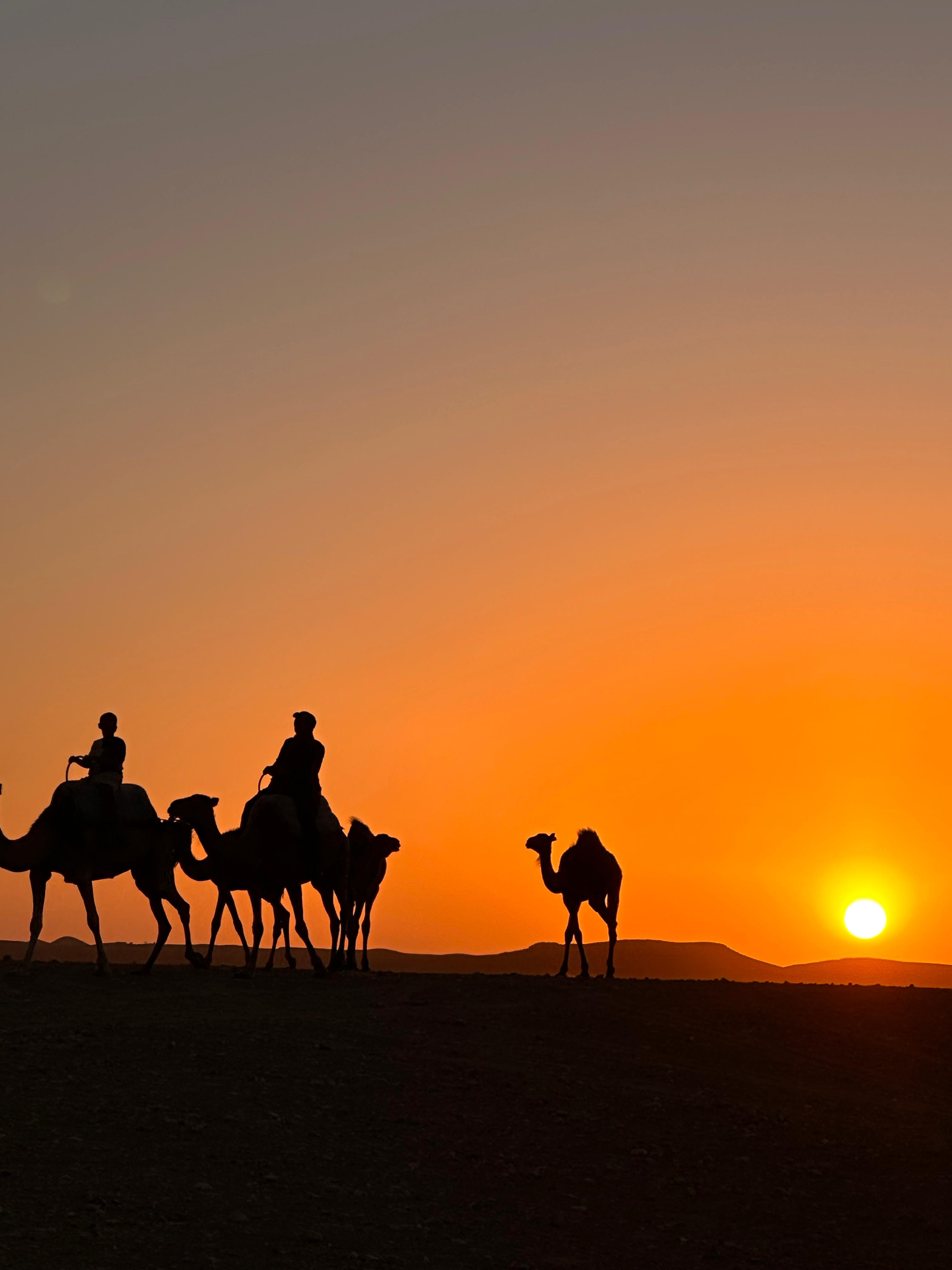 3 Day Desert Tour from Marrakech — Morocco journey